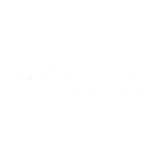XPEL logo